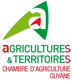 chambre agriculture guyane