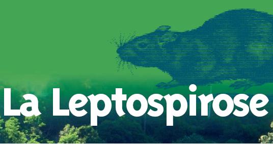 Retour sur le séminaire sur la leptospirose en Guyane