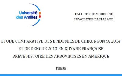 Une thèse guyanaise sur les dernières épidémies de dengue et chikungunya