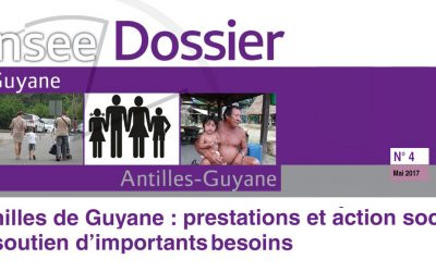 Dossier Familles de Guyane, un outil d’aide à la décision et au pilotage des politiques sociales de Guyane