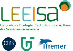 logo-LEEISA