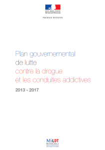 Plan gouvernemental de lutte contre les drogues et les conduites addictives 2013-2017