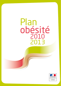 Plan obésité 2010-2013