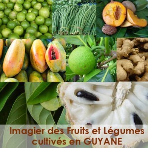 Imagier des fruits et légumes de Guyane