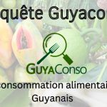 Enquête Guyaconso – Première enquête sur la consommation alimentaire des Guyanais