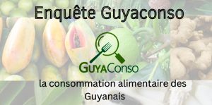 Enquête Guyaconso – Première enquête sur la consommation alimentaire des Guyanais