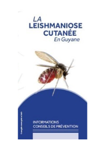 La leishmaniose cutanée en Guyane