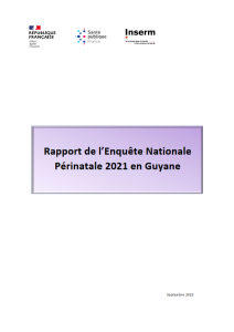 Rapport de l’enquête nationale périnatale 2021 en Guyane