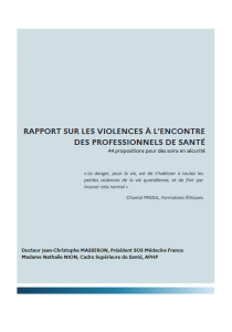 Rapport sur les violences à l’encontre des professionnels de santé. 44 propositions pour des soins en sécurité