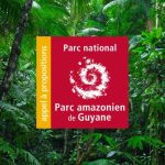 2ème session 2024 de l’Appel à projets du Parc Amazonien !