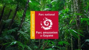 2ème session 2024 de l’Appel à projets du Parc Amazonien !