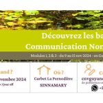 Stage de Communication Non Violente en Novembre 2024