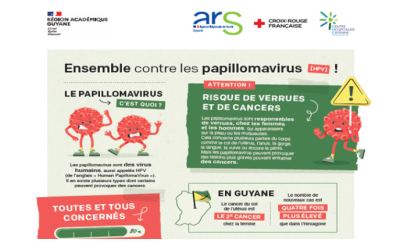 Supports d‘information HPV en 6 langues